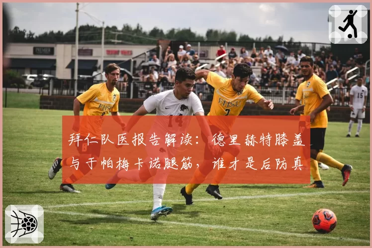 拜仁队医报告解读:德里赫特膝盖与于帕梅卡诺腿筋,谁才是后防真正隐患?